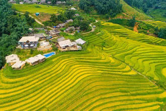 Sa Pa là điểm đến hấp dẫn thu hút khách du lịch quanh năm. 