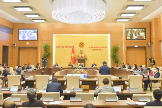 Quang cảnh phiên họp thứ 51 của Ủy ban Thường vụ Quốc hội.