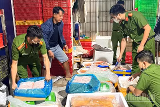Lực lượng chức năng phát hiện và thu giữ nhiều thực phẩm đông lạnh không có nguồn gốc xuất xứ.