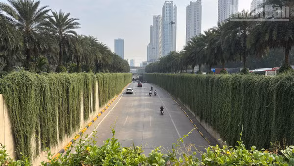 [Ảnh] Trụ cầu, đường hầm ở Hà Nội bắt đầu được phủ xanh