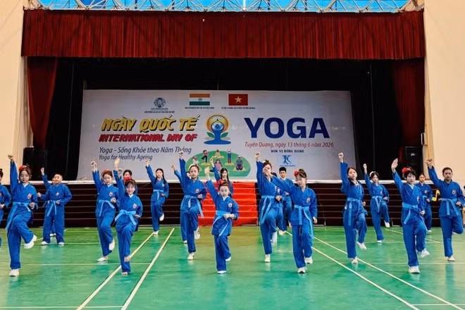 Đồng diễn võ nhạc Vovinam, một trong những hoạt động đáng chú ý tại Festival. 