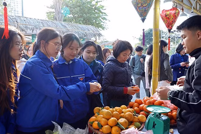 Đông đảo thanh niên, người dân Thủ đô đến với Triển lãm để mua sắm, thưởng thức các loại nông sản từ khắp mọi miền đất nước.