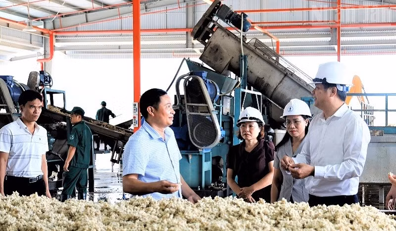 Đồng chí Lò Văn Cương (đầu tiên bên phải ảnh), Phó Chủ tịch Ủy ban nhân dân tỉnh Điện Biên kiểm tra sản xuất tại Nhà máy chế biến mủ cao-su Điện Biên. (Ảnh: LÊ LAN)