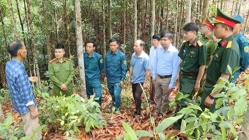 Bí thư chi bộ bản Huổi Pinh Thào Seo Sùng (đầu tiên bên trái) đang giới thiệu quy mô vườn quế của gia đình với cán bộ, nhân dân địa phương. (Ảnh: ĐỨC HẠNH)