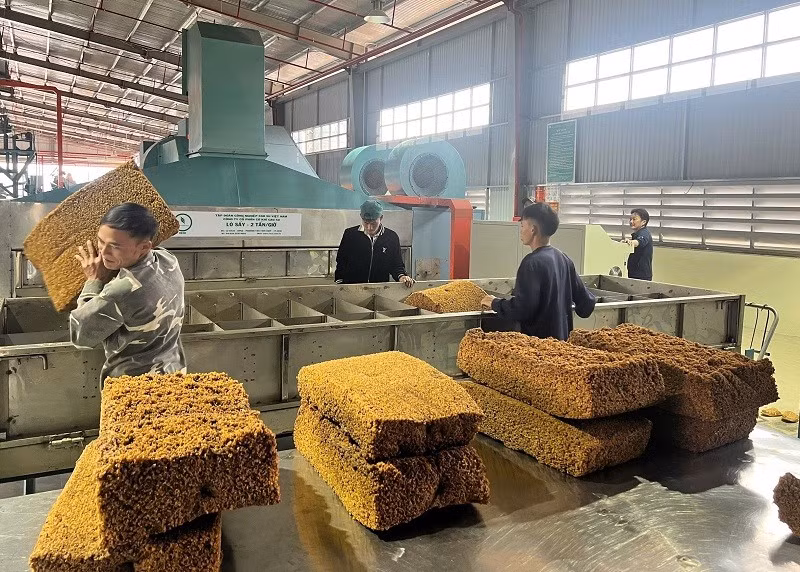 Lô sản phẩm cao-su đầu tiên mang thương hiệu SVR10 và SVR20 được sản xuất tại Nhà máy chế biến mủ cao-su Điện Biên.