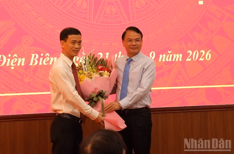 ndo_br_032a7320.jpg