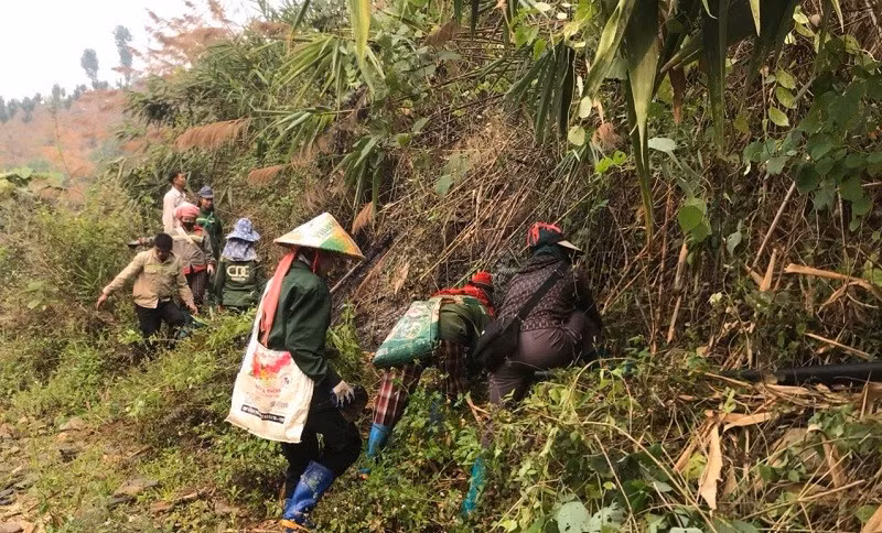 img-4686.jpg