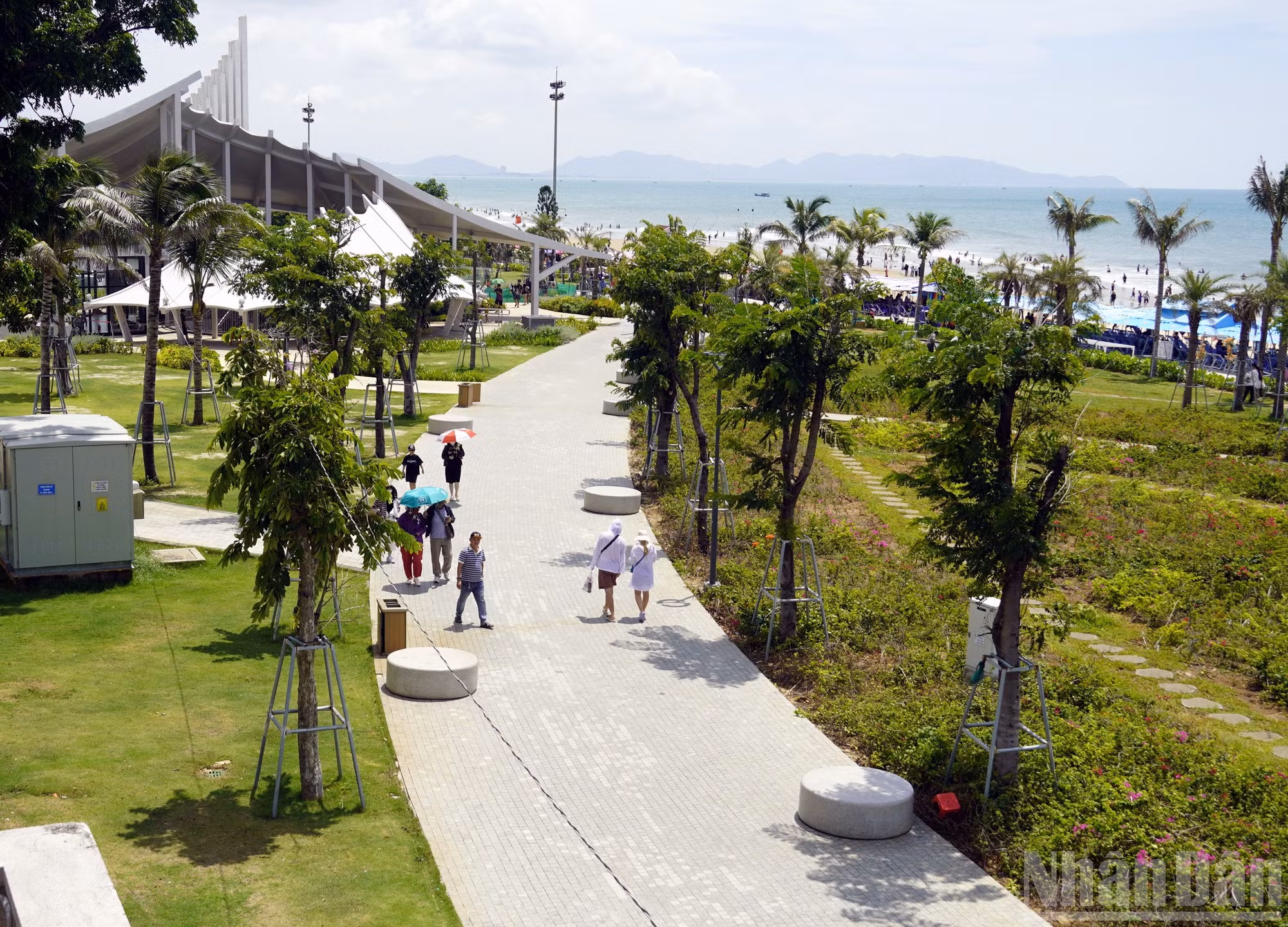 ndo_br_dsc1764.jpg