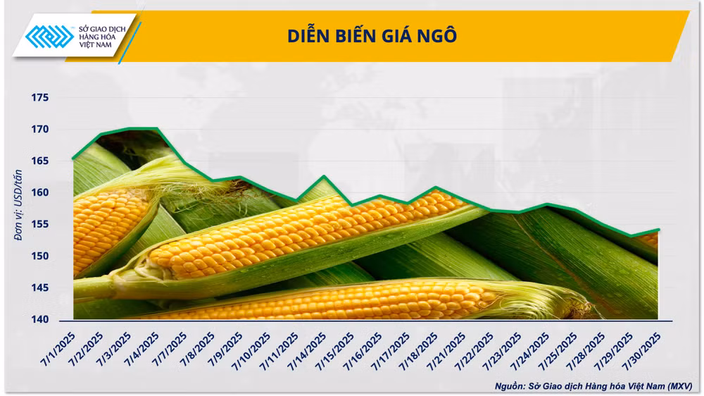 anh-1-bieu-do-dien-bien-gia-ngo-thoi-gian-qua.png