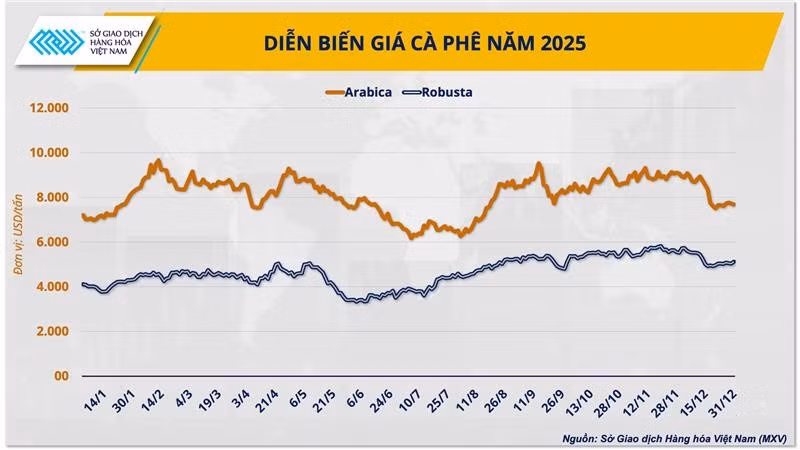 anh-2-dien-bien-gia-ca-phe-nam-2025.png