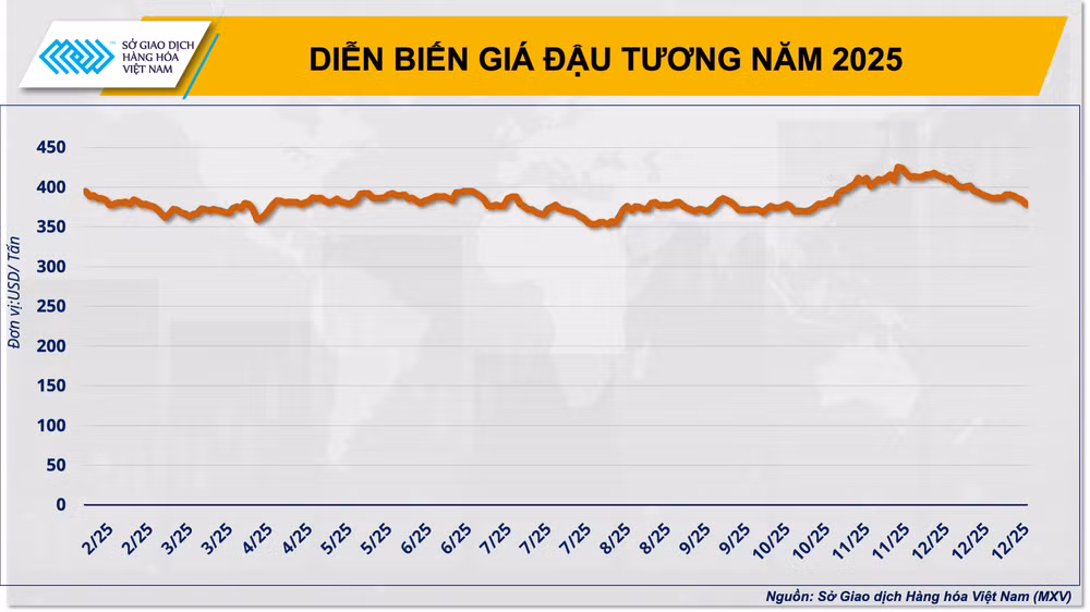 anh-3-dien-bien-gia-dau-tuong-nam-2025.png