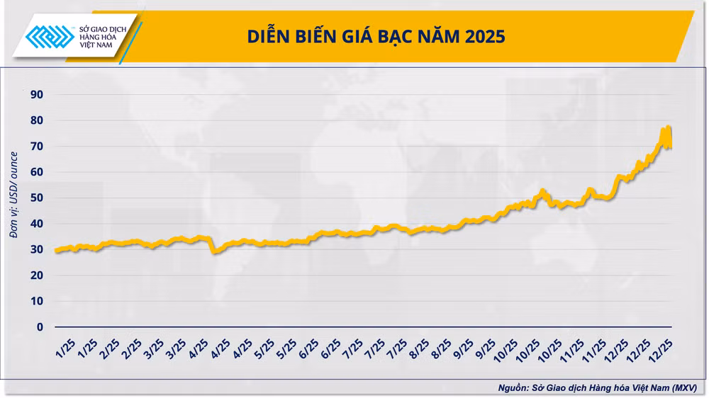anh-5-dien-bien-gia-bac-nam-2025-nguon-mxv.png