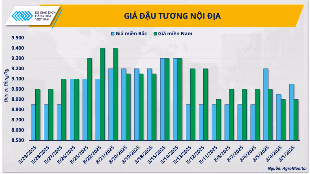 gia-dau-tuong-noi-dia.png