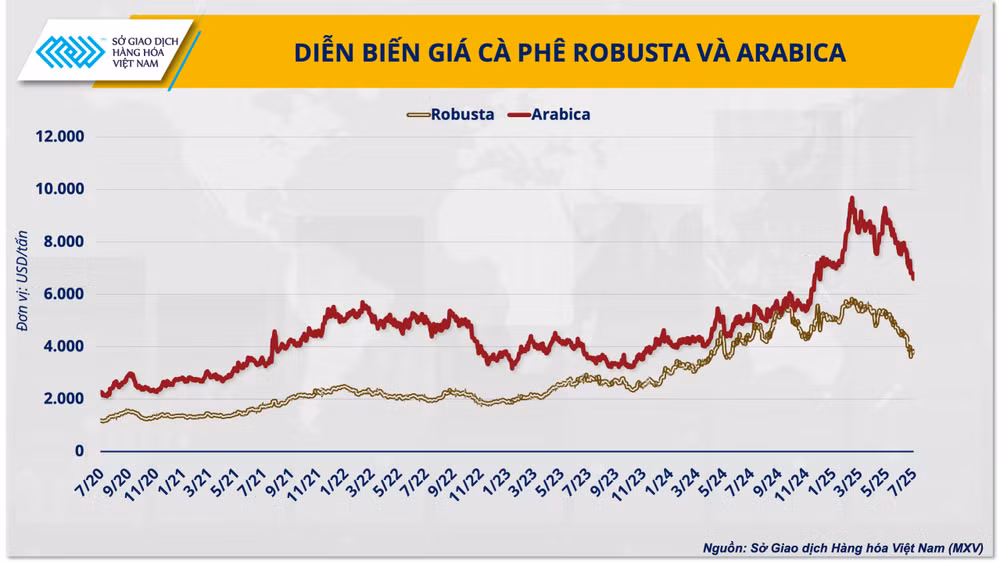 anh-1-dien-bien-gia-ca-phe-robusta-va-arabica.png