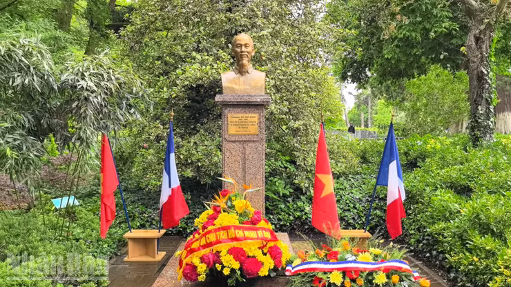 Những bông hoa tươi thắm mừng sinh nhật Chủ tịch Hồ Chí Minh.