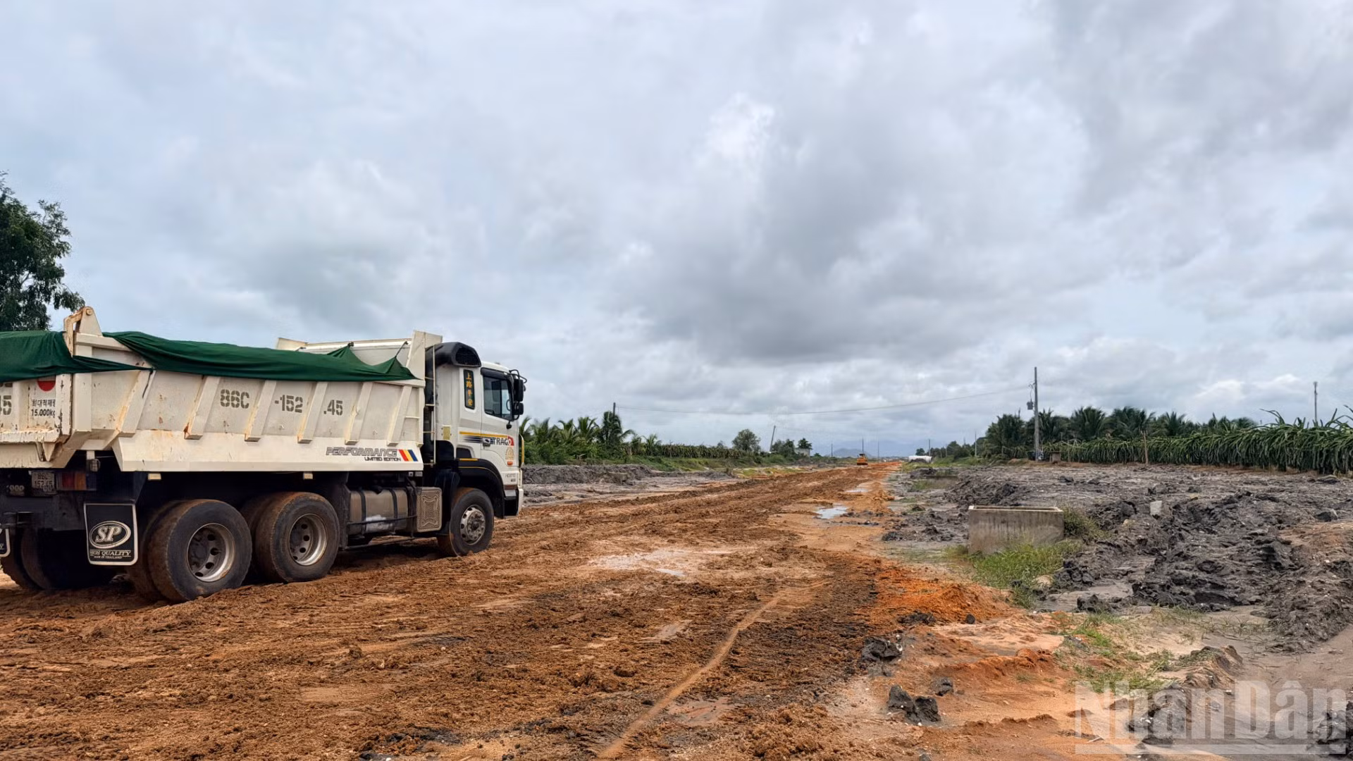 ndo_br_8-5650.jpg