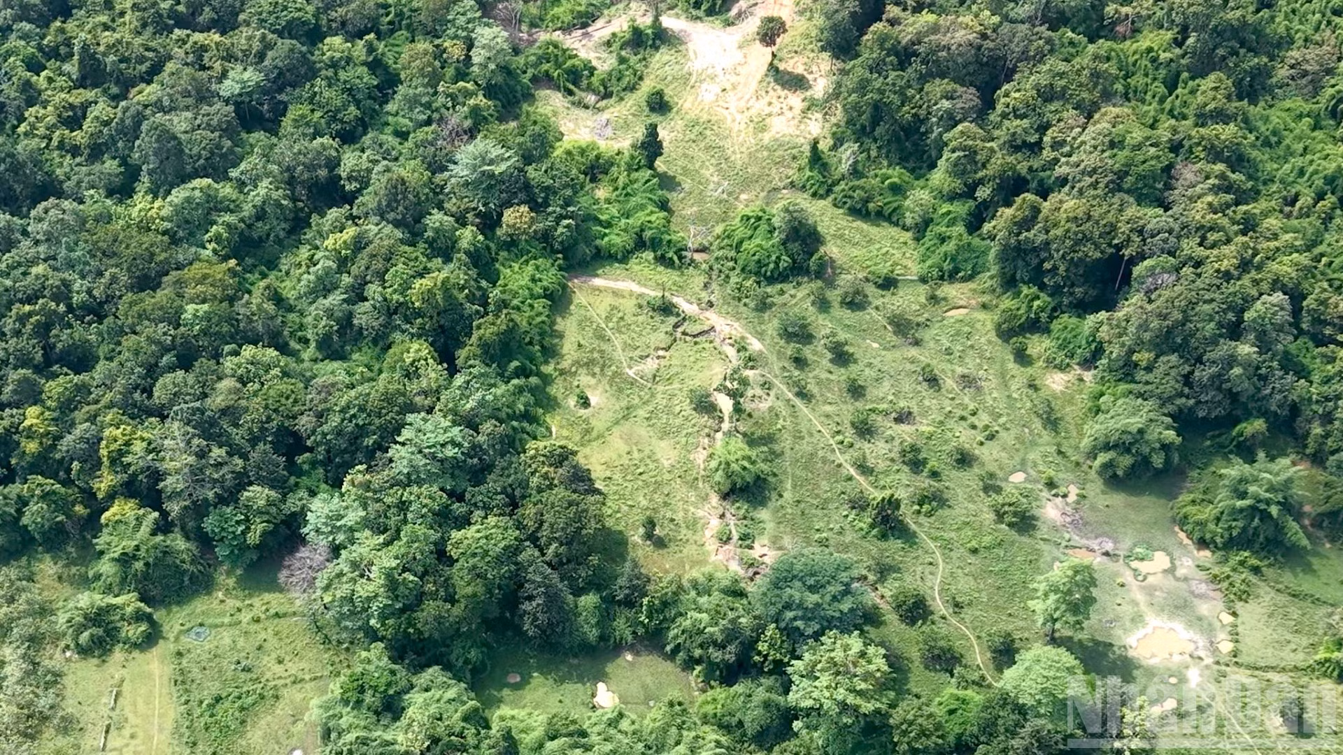 ndo_br_1-6066.jpg