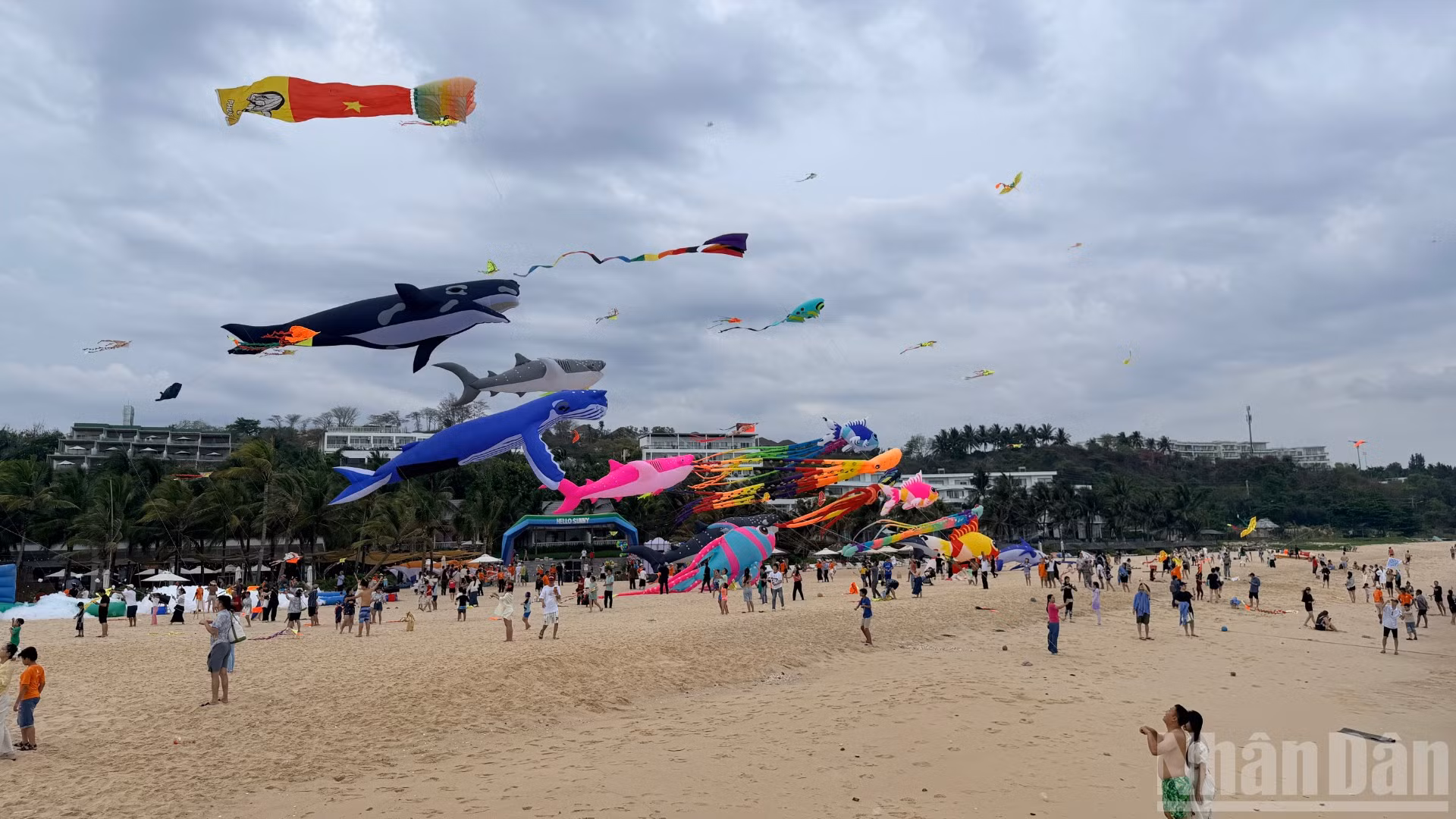 Những cánh diều bay lên bầu trời trên bãi biển đã thu hút nhiều du khách đến vui chơi.
