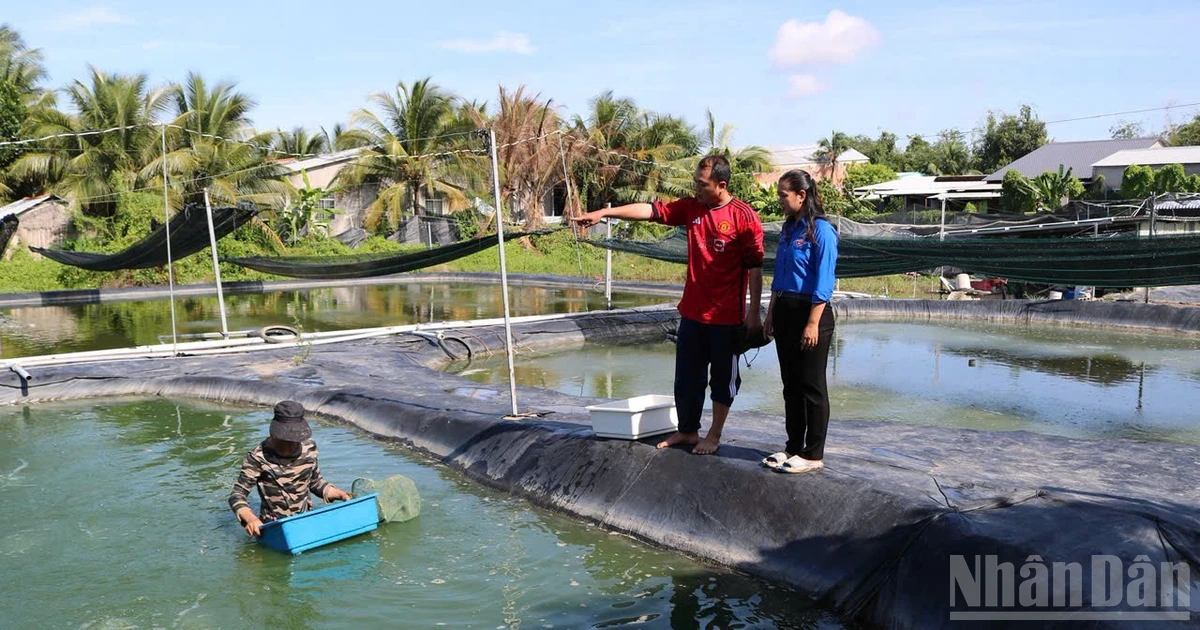 Thanh niên Đồng Tháp khởi nghiệp, làm giàu cho quê hương