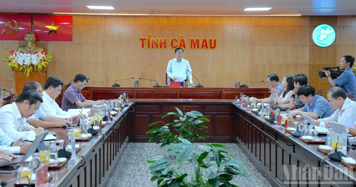 Cà Mau siết chất lượng, tăng tốc số hóa dữ liệu