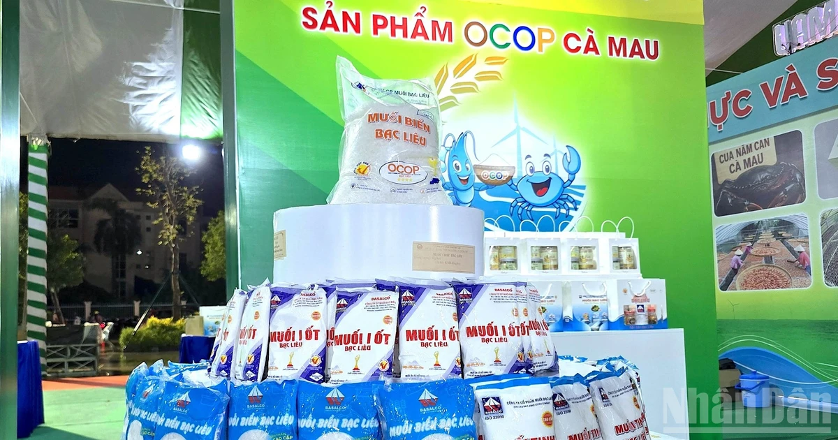 Cà Mau nâng chất, phát triển bền vững nghề muối di sản