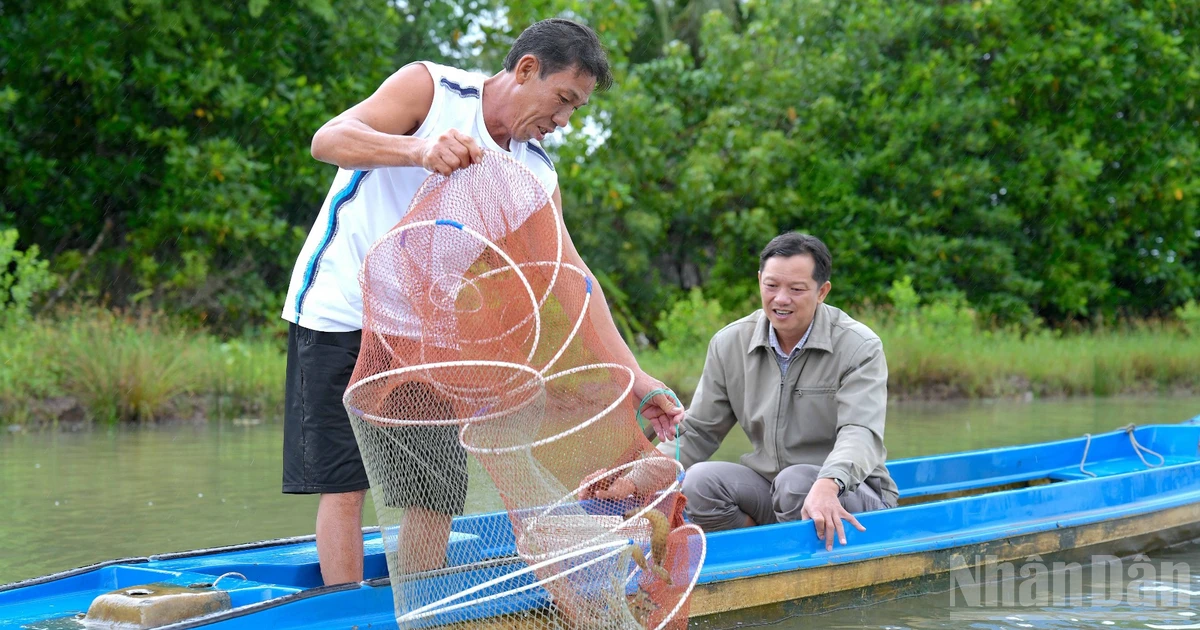 Hành động chiến lược vì một ngành tôm bền vững