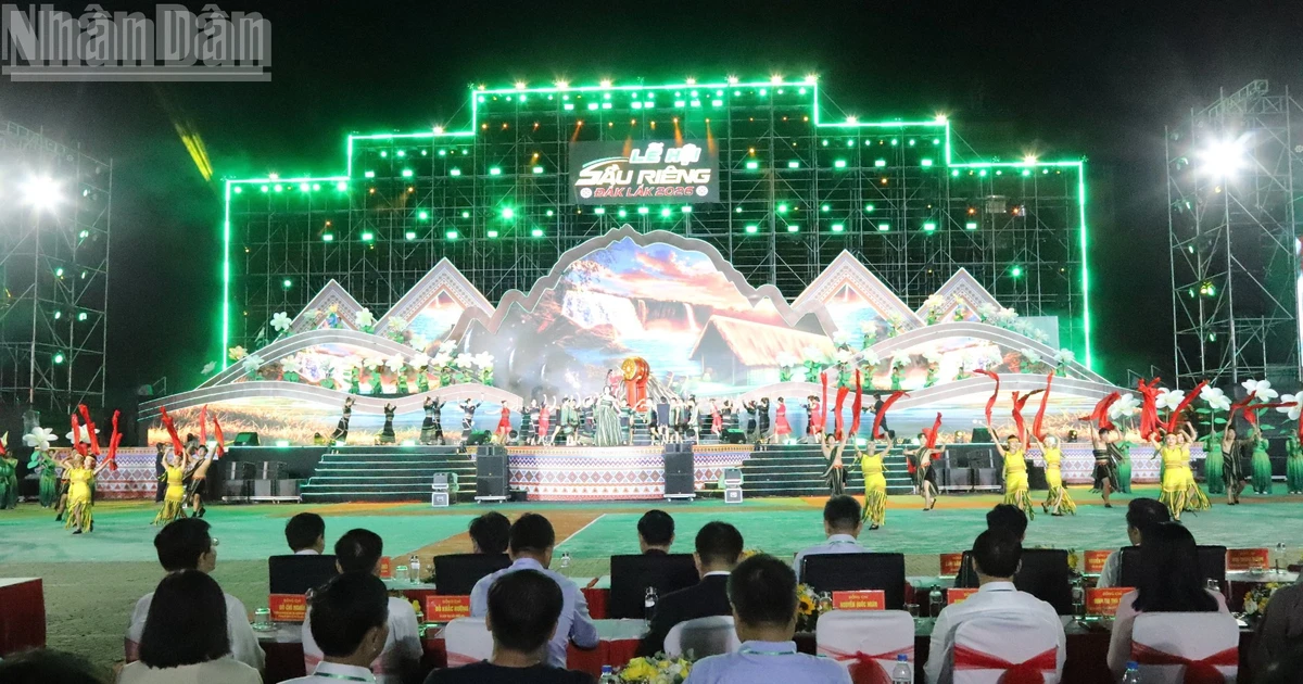 Sầu riêng Đắk Lắk kết nối vươn xa