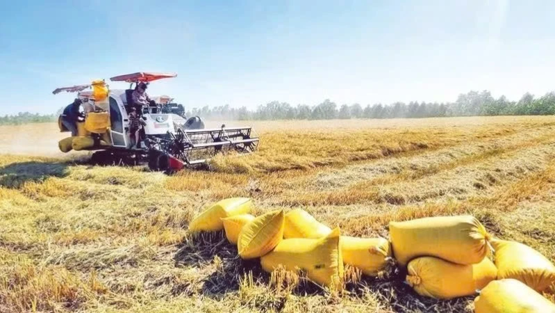 Thị trường phân bón: Ưu tiên nguồn cung nội địa