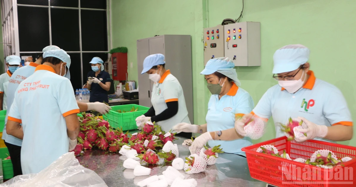 Tây Ninh: Hơn 2.000 doanh nghiệp xuất nhập khẩu, kim ngạch đạt 27 tỷ USD