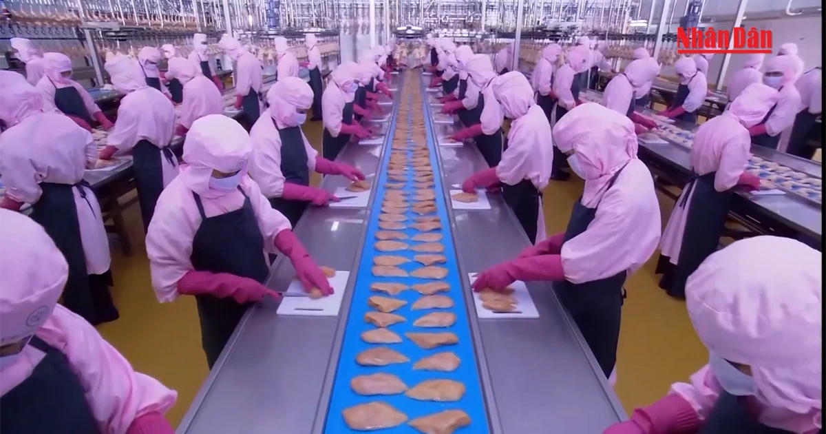 [Video] Tăng hỗ trợ doanh nghiệp nâng cao năng suất, chất lượng sản phẩm