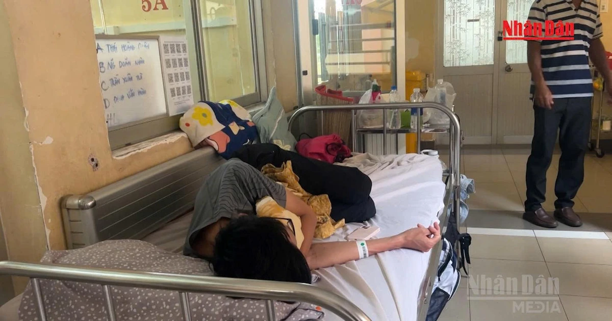 [Video] TP Hồ Chí Minh ghi nhận hơn 42.500 ca sốt xuất huyết, 11 người tử vong