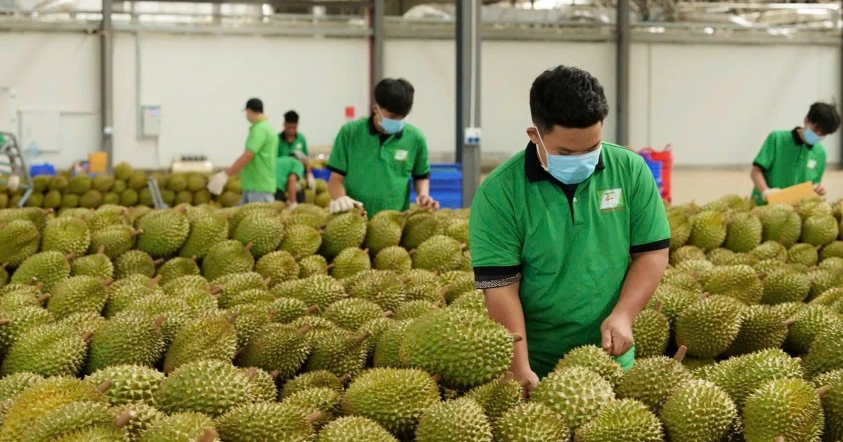 Kiểm soát rủi ro trong xuất khẩu nông sản