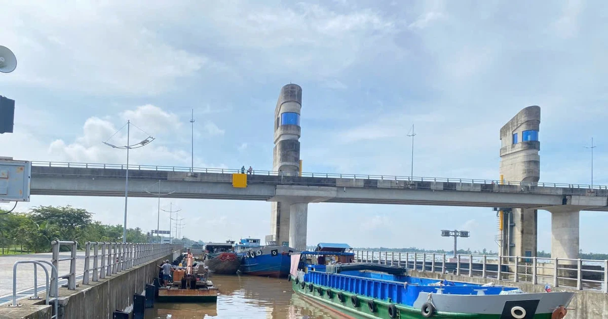 Đồng bằng sông Cửu Long chủ động ứng phó nguy cơ hạn hán, xâm nhập mặn