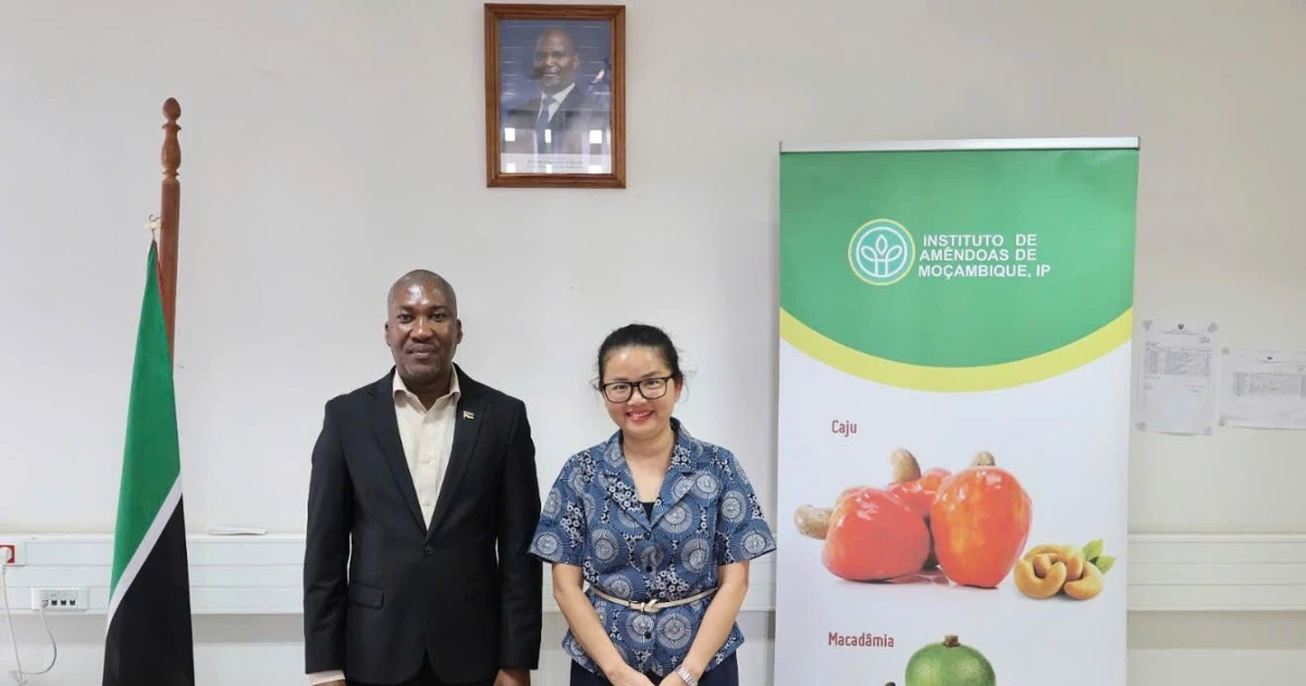 Việt Nam-Mozambique thúc đẩy hợp tác trong sản xuất và chế biến nông sản