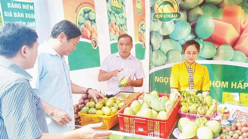 Sơn La phát triển logistics nông sản