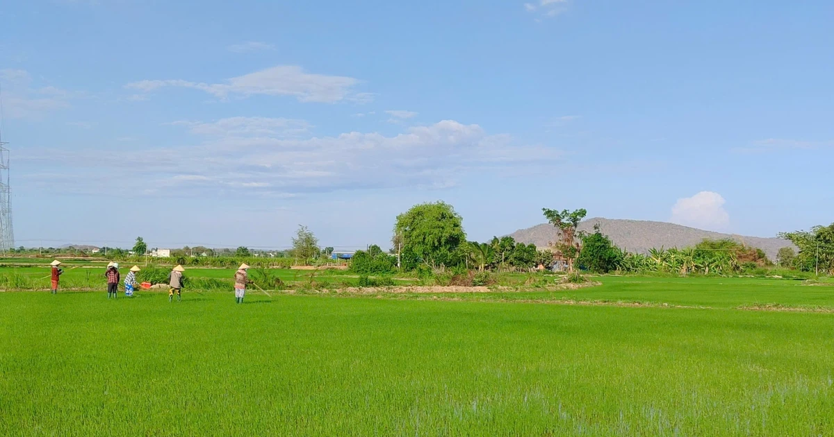 Lâm Đồng: Xã Hàm Thuận Bắc phấn đấu giảm nghèo đa chiều còn 3,26%