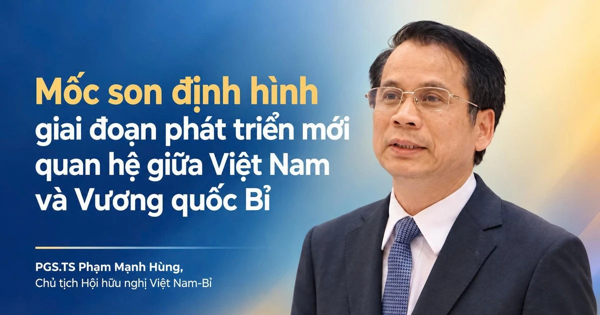 Mốc son định hình giai đoạn phát triển mới quan hệ Việt Nam-Vương quốc Bỉ