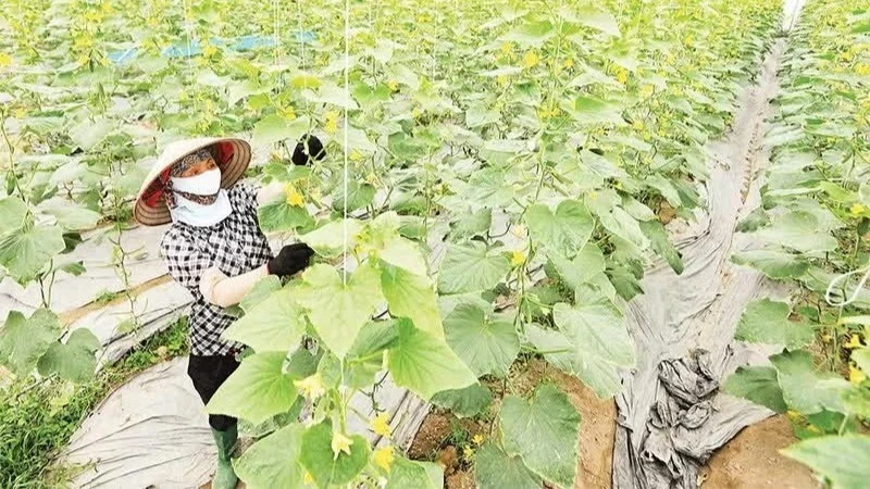 Đặt bảo vệ môi trường vào vị trí trung tâm các quyết định phát triển