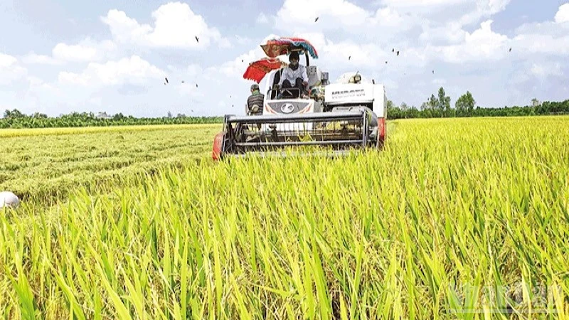 Cần Thơ: Nâng cao chất lượng để nông sản vươn xa