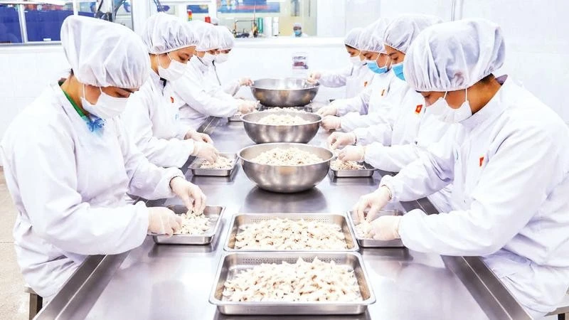 Xuất nhập khẩu tăng, chuỗi cung ứng cần nâng cao khả năng chống chịu
