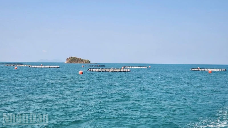 An Giang hướng đến bứt phá nuôi biển bền vững