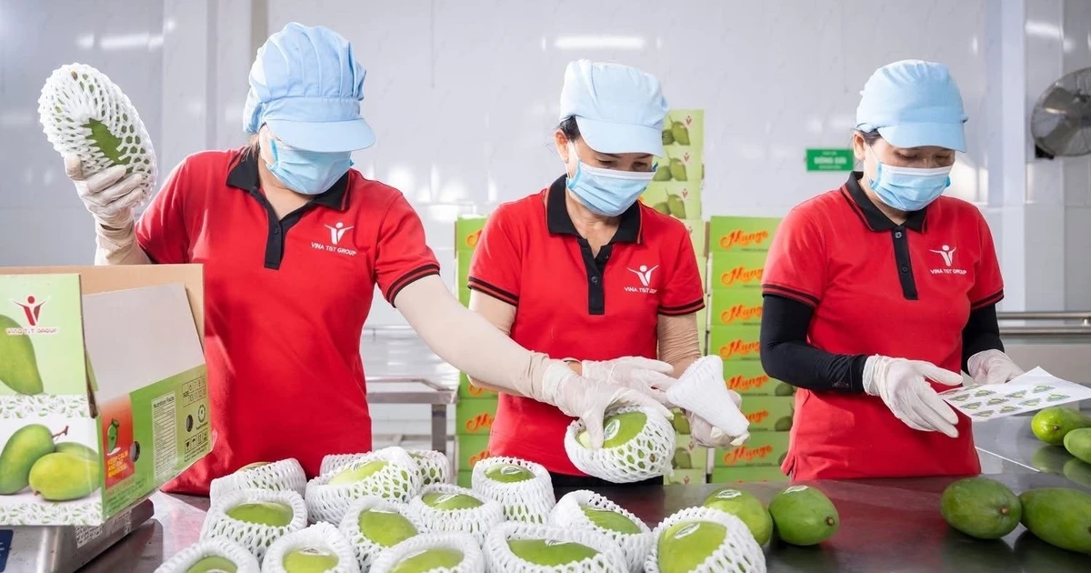 Chuẩn hóa nguồn cung để giữ đơn hàng xuất khẩu