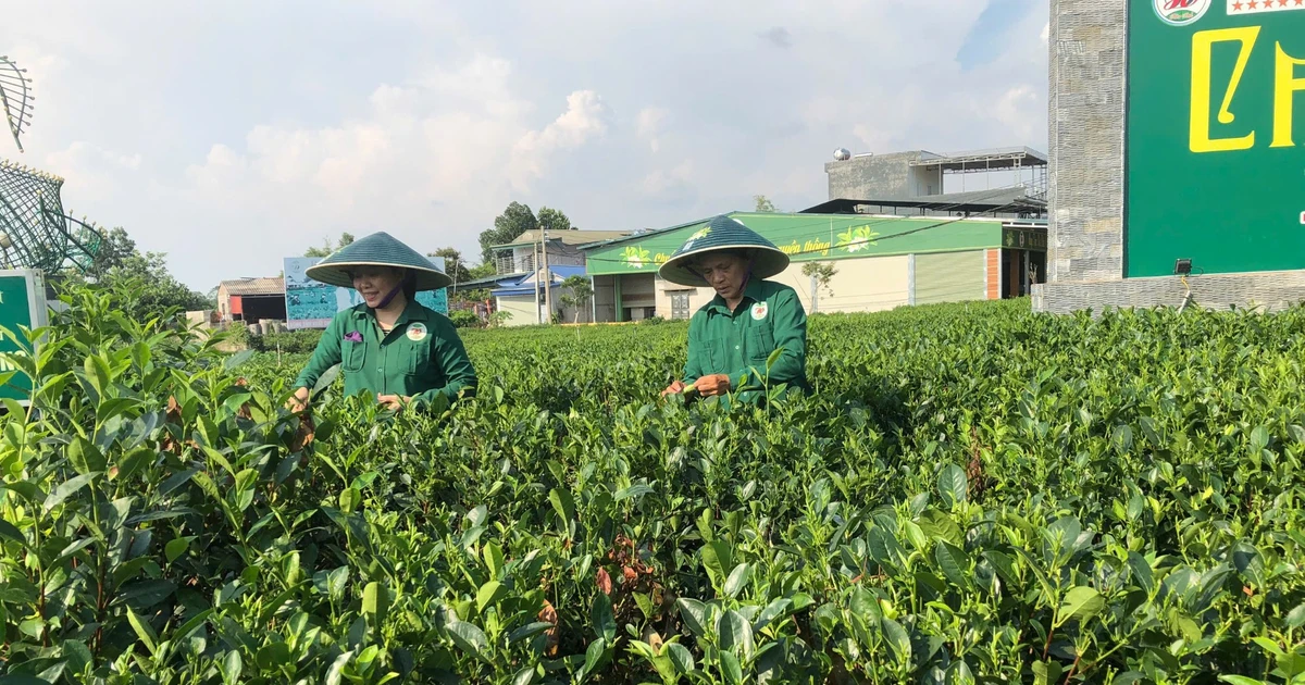 Thúc đẩy chuyển đổi số trong nông nghiệp