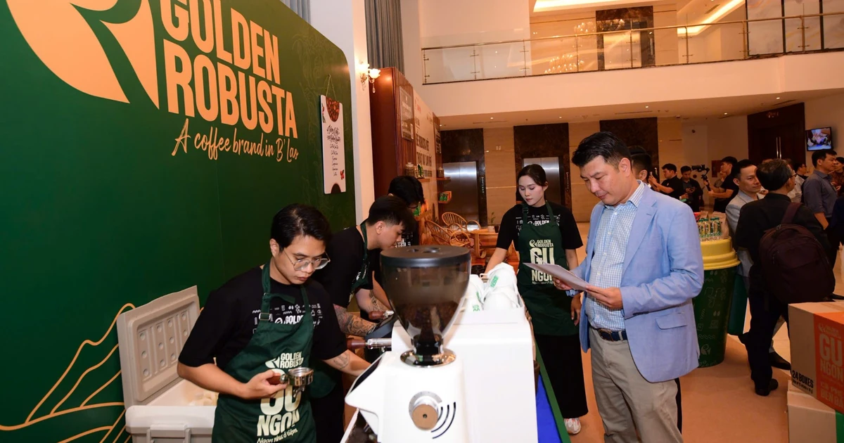 Làm gì để cà-phê Robusta Việt tạo vị thế trên thị trường quốc tế?