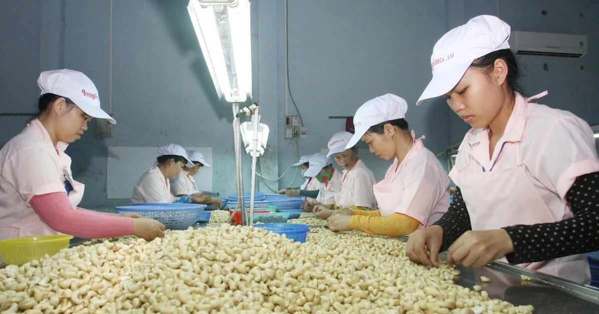 Tạo dựng vị thế trong chuỗi cung ứng sản phẩm Halal