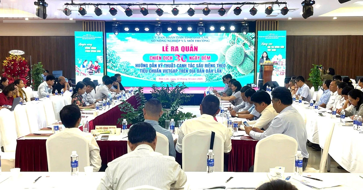 Đắk Lắk ra quân chiến dịch 30 ngày đêm hướng dẫn kỹ thuật canh tác cây sầu riêng theo tiêu chuẩn VietGAP