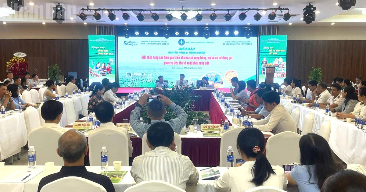 Đắk Lắk: Nâng cao hiệu quả triển khai mã số vùng trồng, mã số cơ sở đóng gói phục vụ tiêu thụ và xuất khẩu nông sản