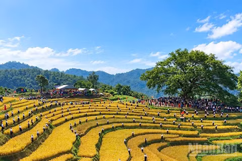 Ngày hội thu hút đông đảo nhân dân các dân tộc trong và ngoài tỉnh Phú Thọ tham gia.