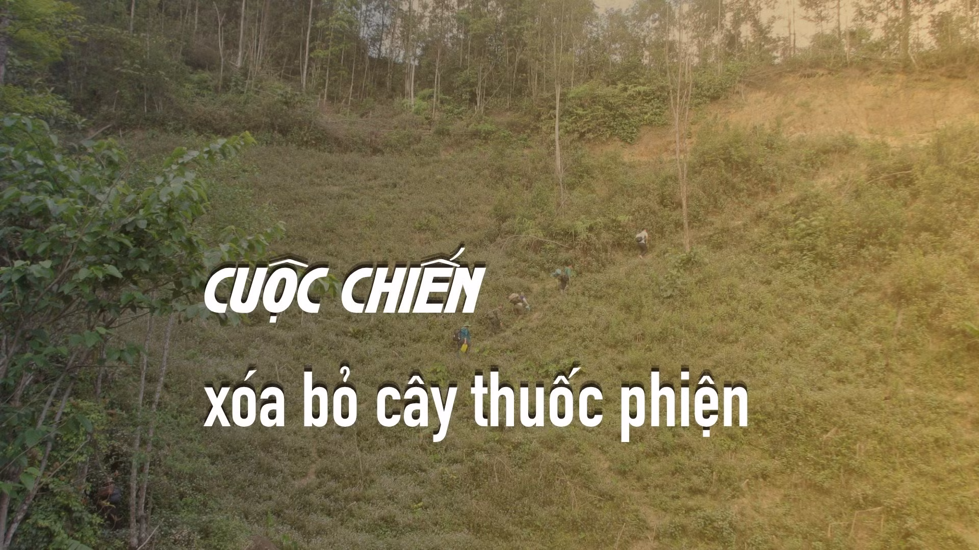 Những ngày trong rừng, thành viên Đoàn công tác 06 liên tục phải leo ngược dốc để lên trên cao quan sát khu vực nghi có tái trồng cây thuốc phiện.