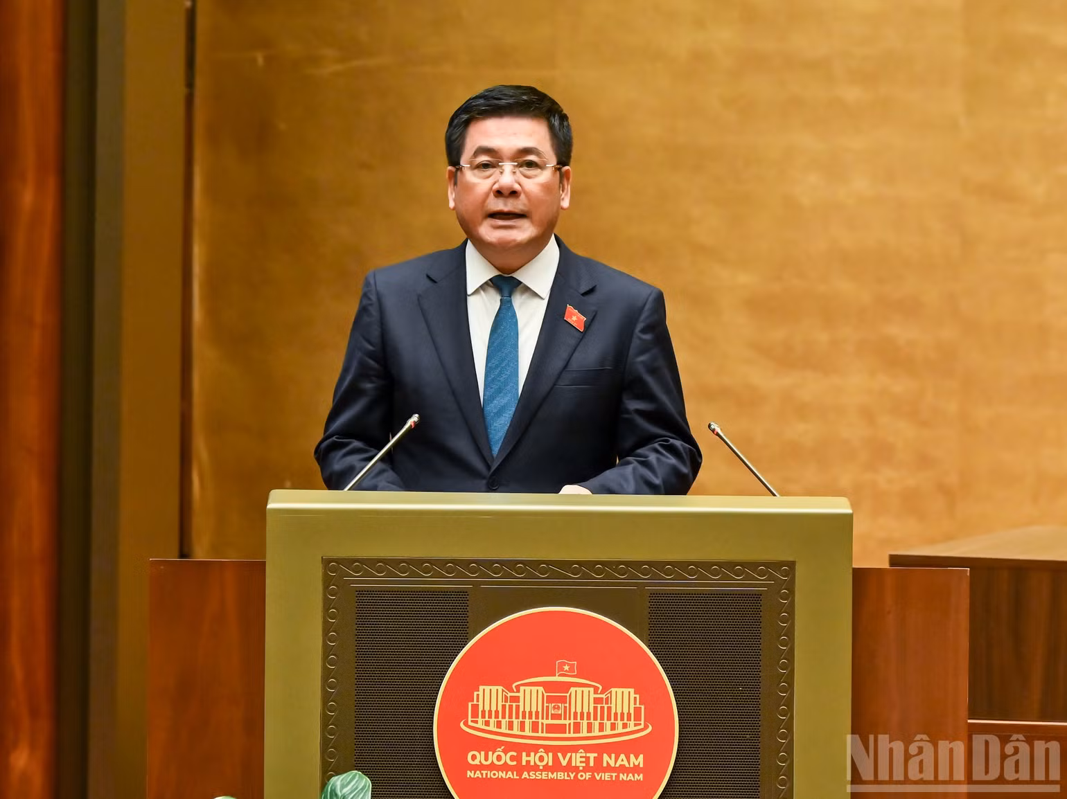 ndo_br_bt-nguyen-hong-dien.jpg